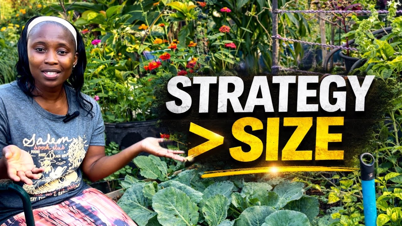 Your Garden Isn’t Small. Your Strategy Is.