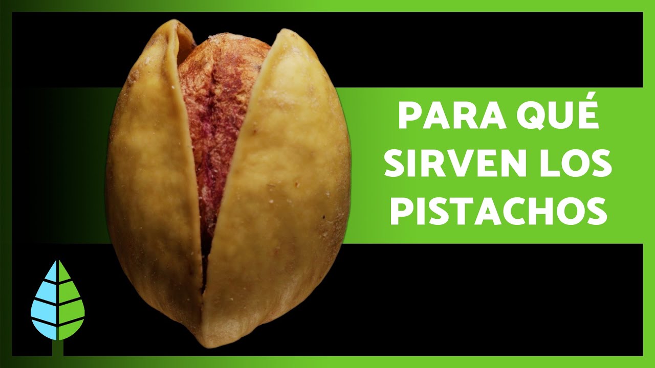 BENEFICIOS de los PISTACHOS ✅ (Propiedades Medicinales, Cómo Comerlos y Contraindicaciones)