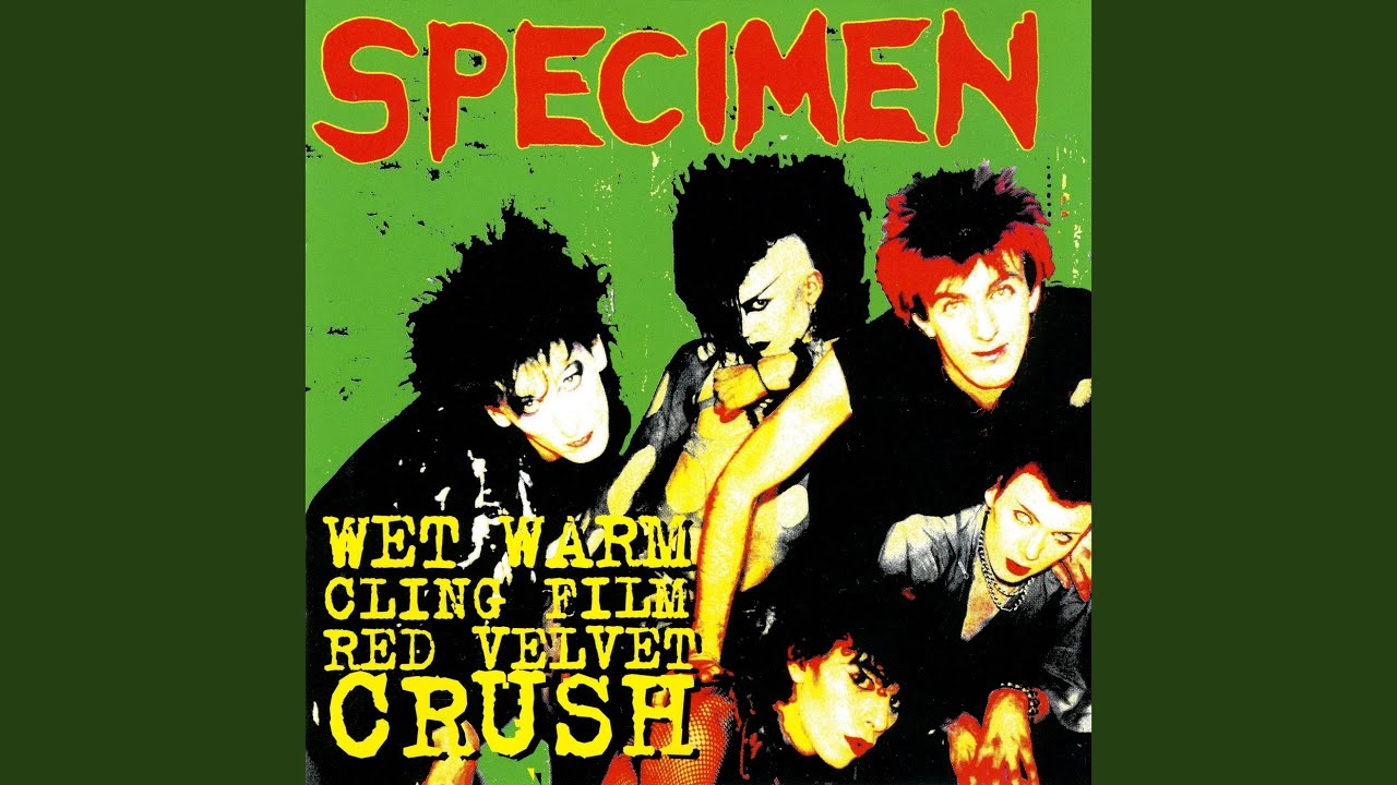 Kiss Kiss Bang Bang (7