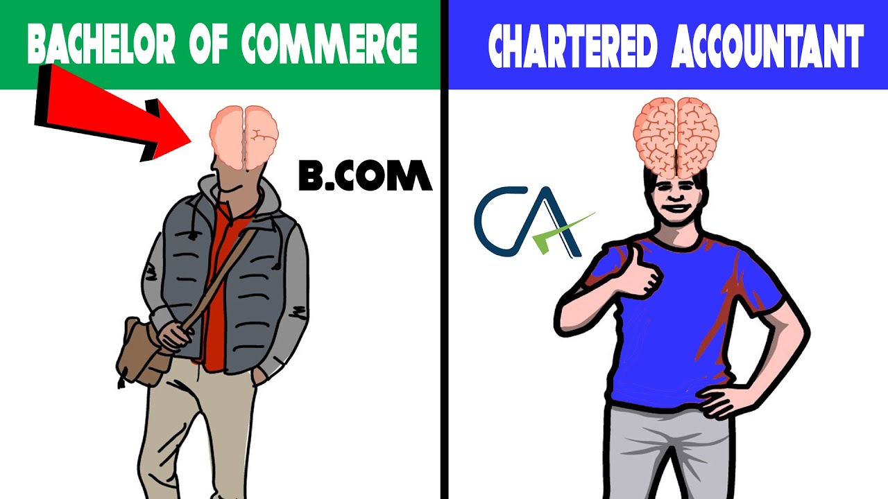 CA vs B.COM | B.com or CA Which is Better After Class 12th | By Sumar