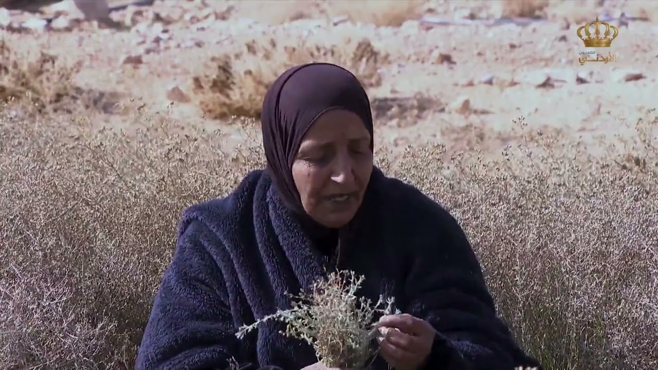 صباح الوطن الجميل من #القطرانة محافظة الكرك