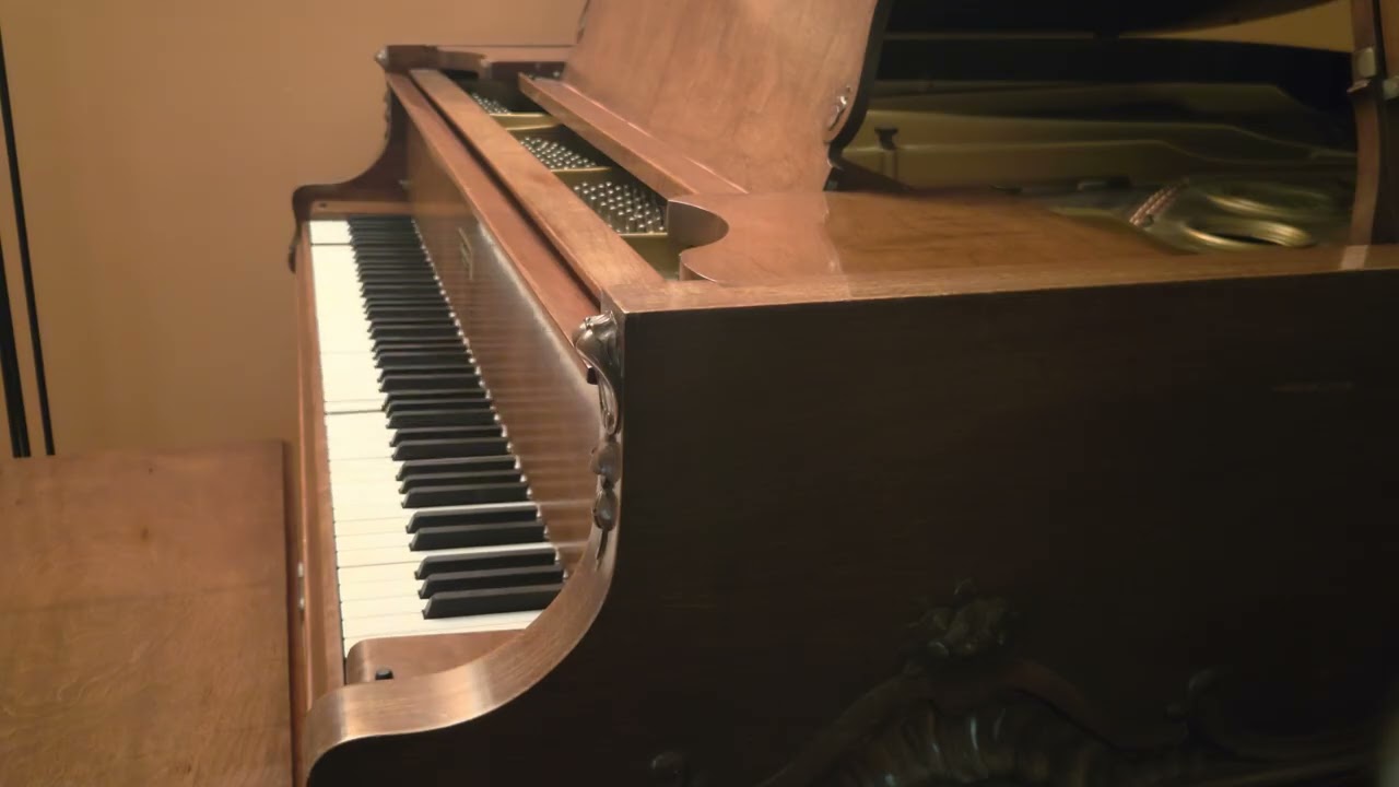 1930 Knabe Ampico B   Nymph Errant   Frank Milne