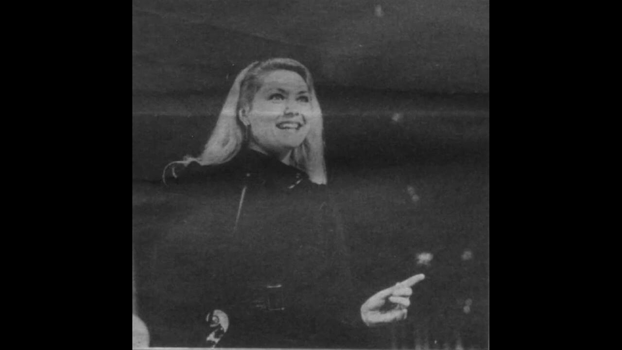 Rita Trence - Pārdaugava ceriņos