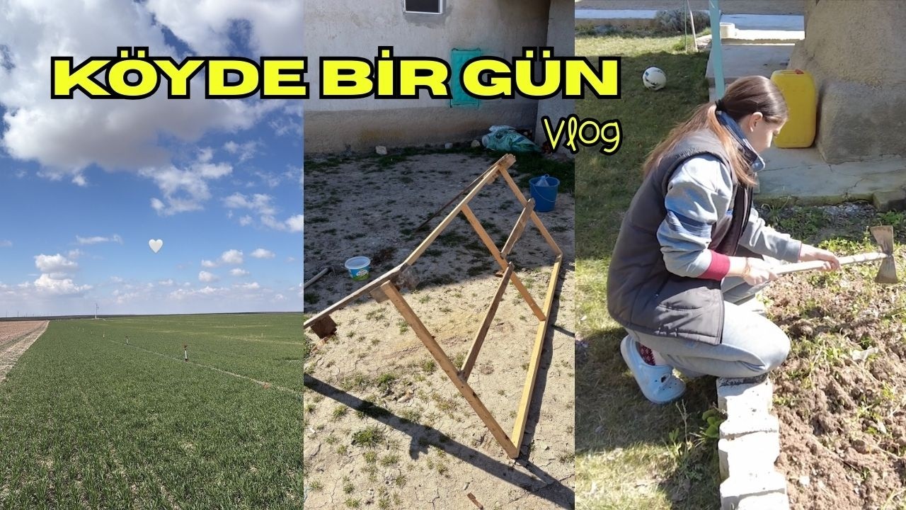 BUĞDAYLARDA SON  DURUM!  BAHÇEYE YEŞİLLİK EKTİK! SEYYAR TÜNEK OLUR MU?
