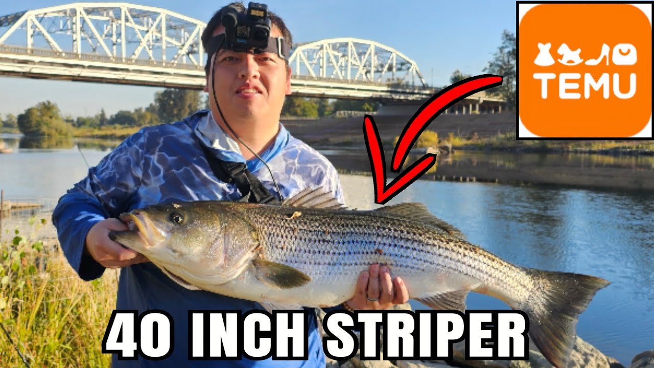 Catching The BIGGEST STRIPER Of My Life On With A $3 Lure