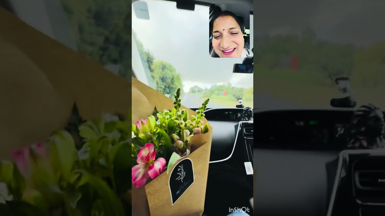 दोस्तों ये हमारा पहला व्लॉग ✅