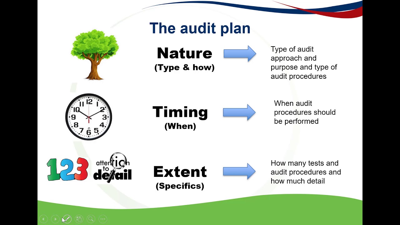 The audit plan