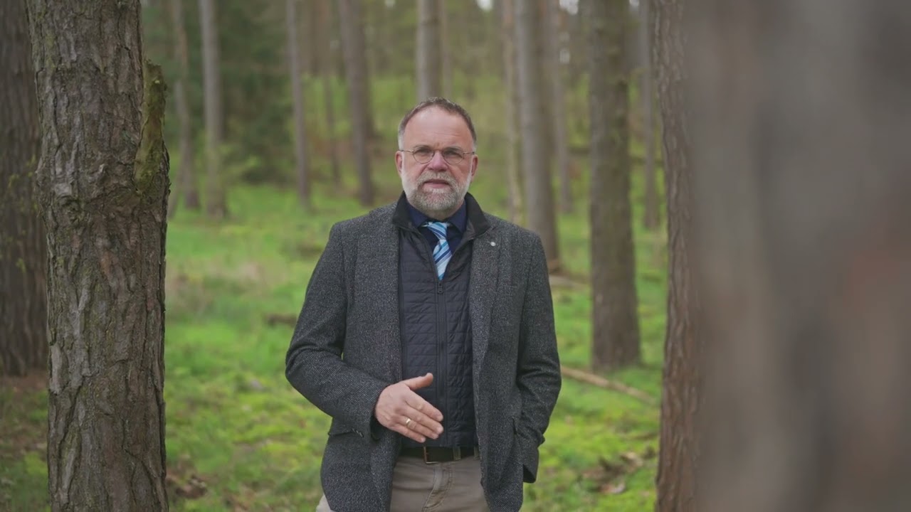 Wald in der Altmark - 14 ha