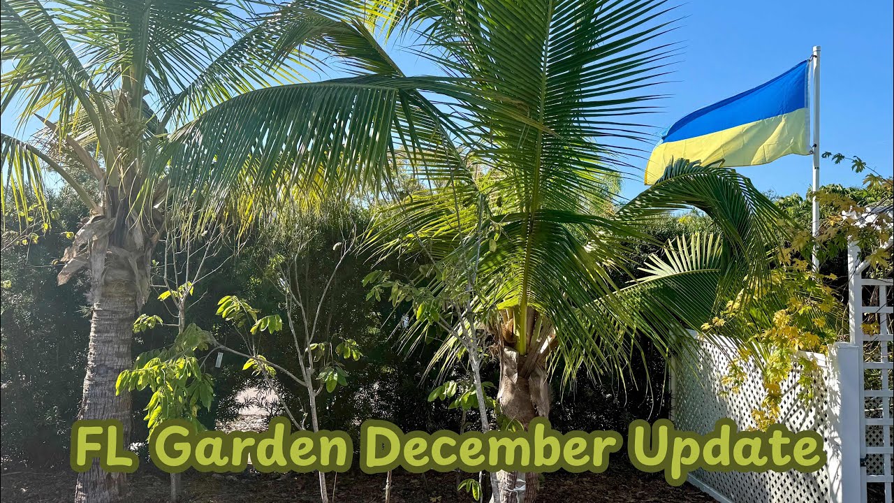 Florida Garden In December