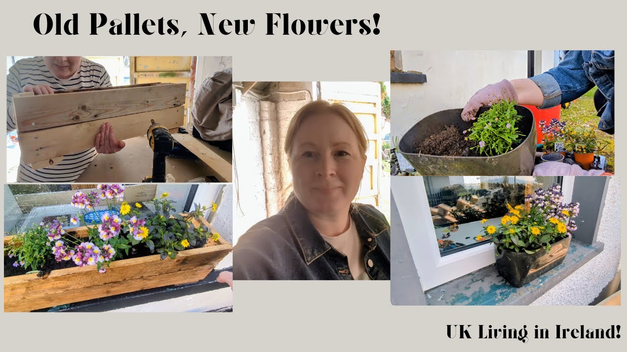 Planting My Handmade Window Boxes in the Irish Evening Light!