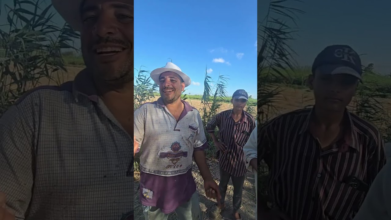 منصور حفنى اخر بمحافظة البحيره ترويع الاهالى