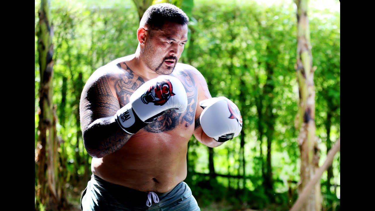 Обзор боя UFC: Марк Хант