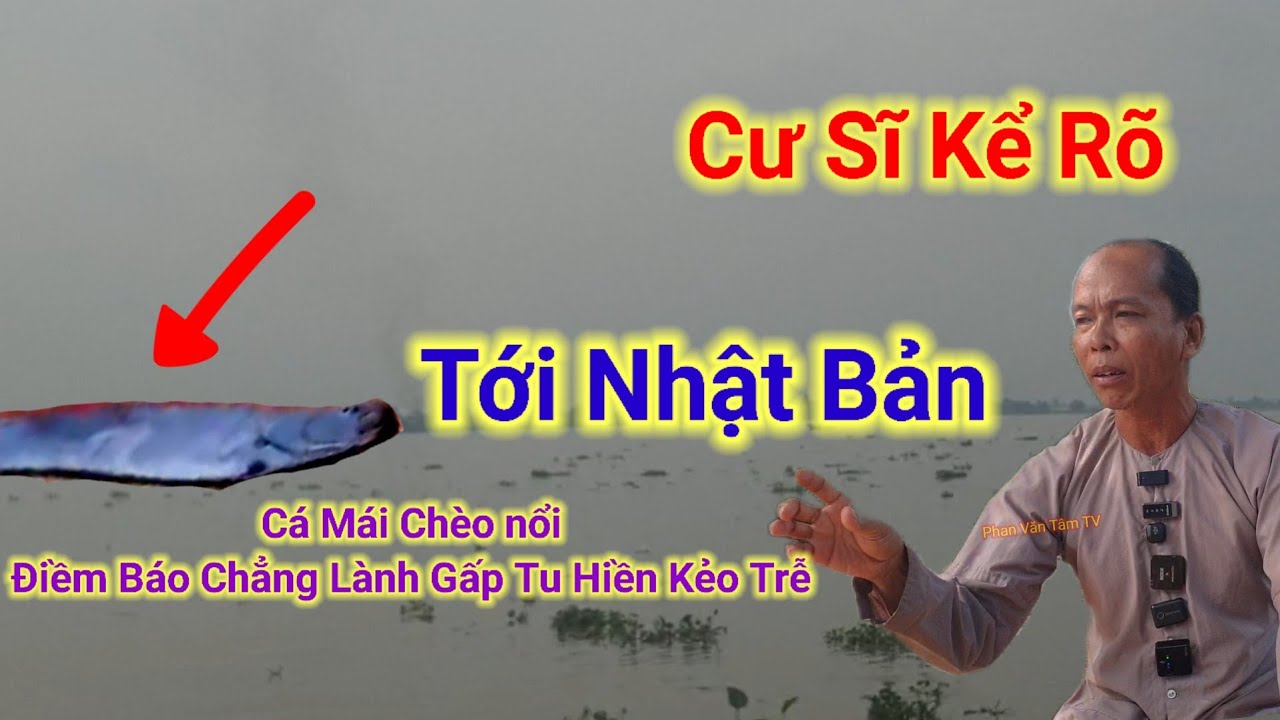 Tới Nhật Bản👉Cá Mái Chèo nổi Điềm Báo Chẳng Lành,Gấp Tu Hiền Kẻo Trễ,Cư Sĩ Kể Rõ