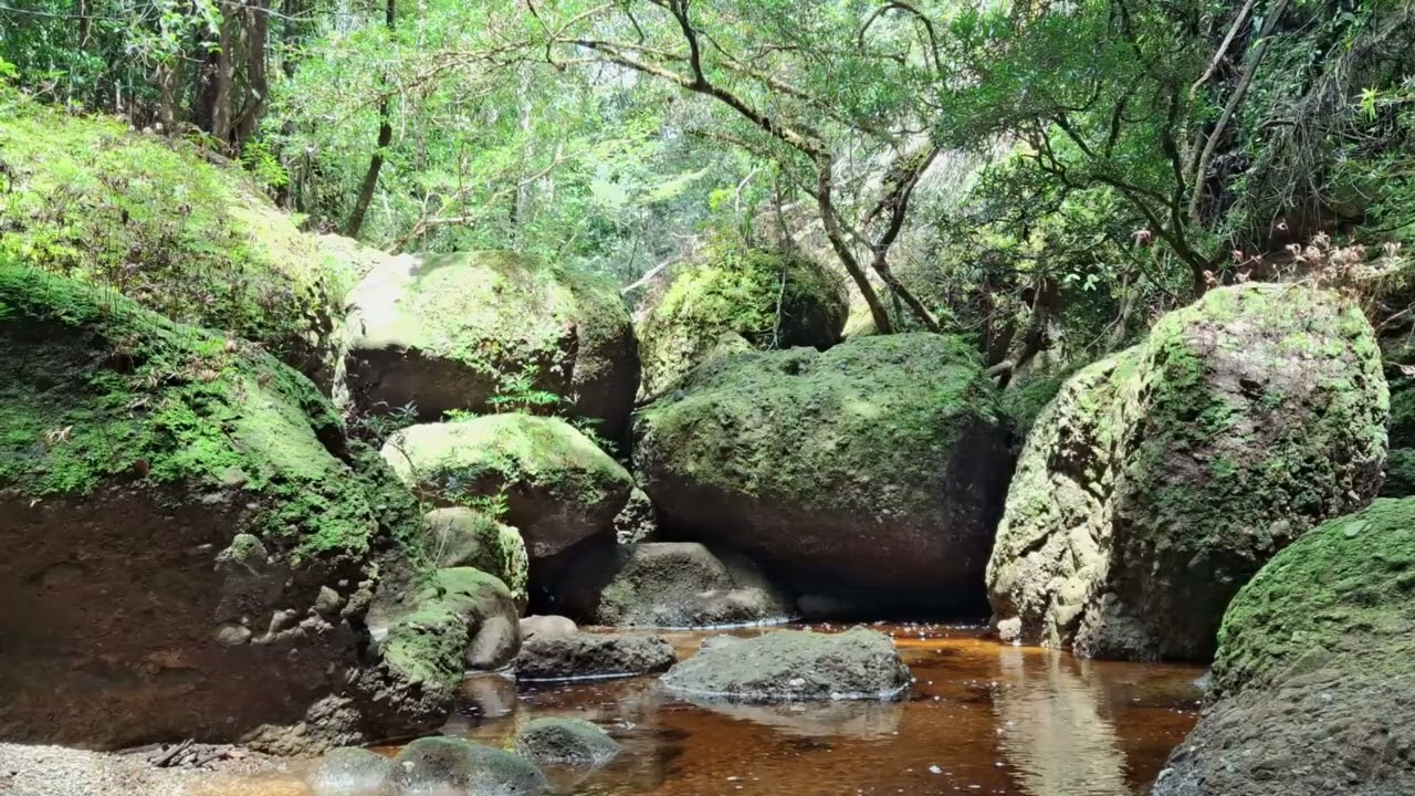 Calming River Water Sounds for Sleep, Study, Focus & Relaxation
