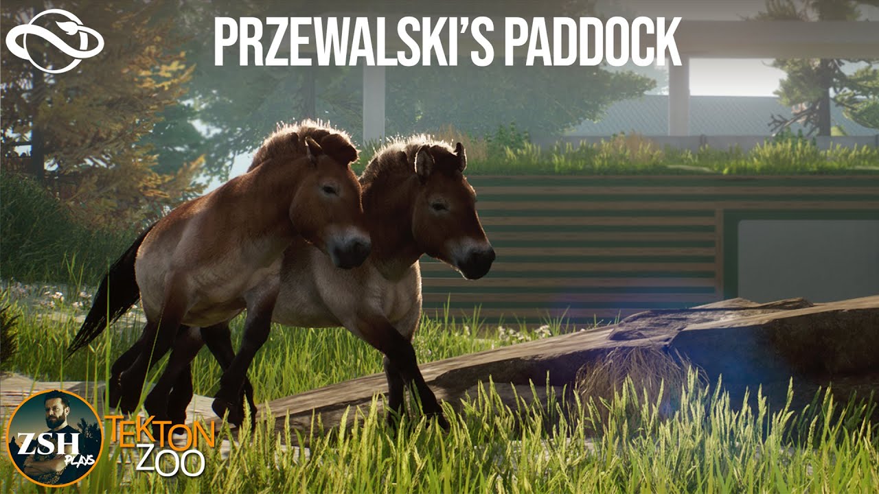 Przewalski's Paddock ¦ Tekton Zoo ¦ Przewalski's Horse Habitat ¦ Planet Zoo Franchise mode ¦ Ep. 47