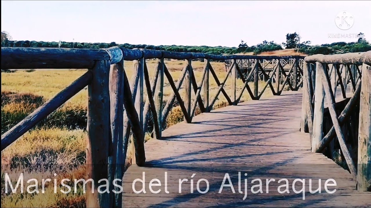 Corrales /Bellavista / Aljaraque por las marismas. Senderos con final feliz, 31 de agosto de 2021.
