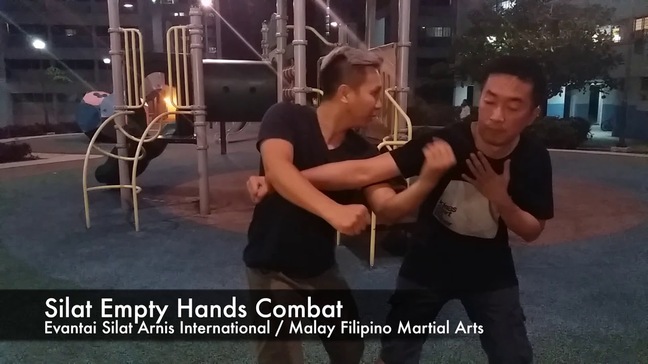 10 Days SCTM Singapore Workshop 2017 - Silat Empty Hands