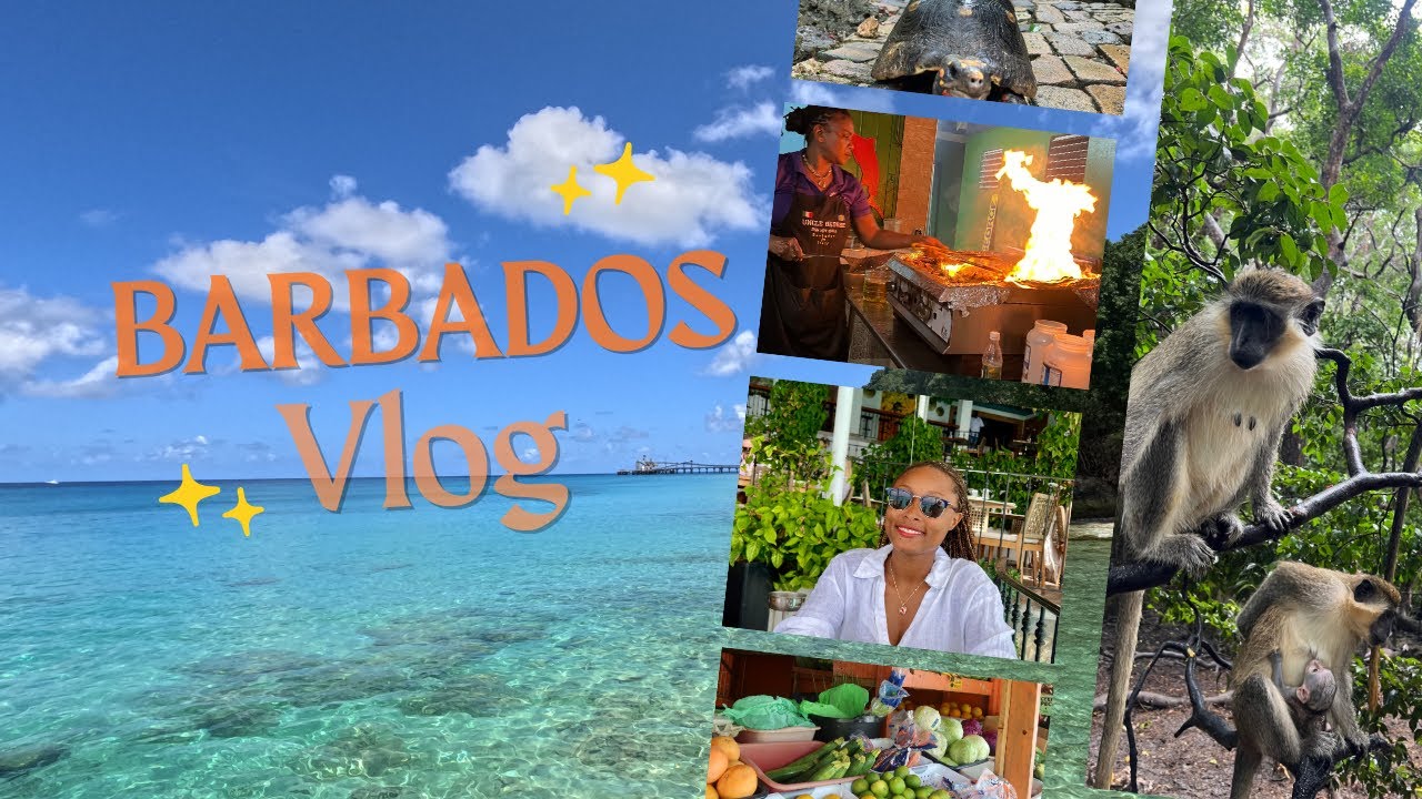 Barbados Vlog 🌴 | Beach Days, Good Food & Island Living