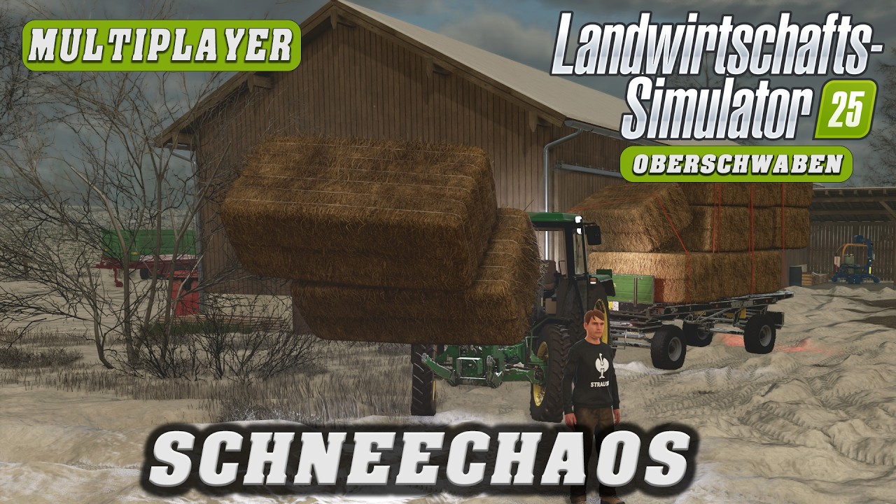LS25 MP Oberschwaben - Schneechaos im Januar - kein vorrankommen!