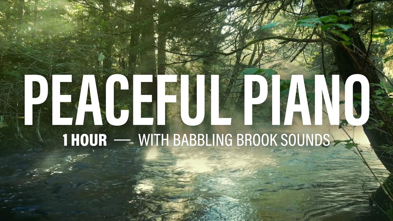 Peaceful Piano Music by Chris Collins + Babbling Brook ♫ Present Moment