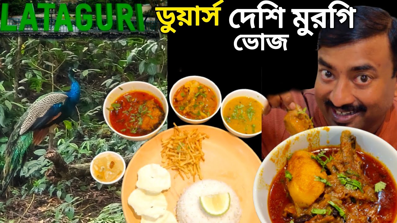 Lataguri তে হরিণ,হাতি দেখে দেশী মুরগী দিয়ে ভোজ সঙ্গে Green view  eco tourism এ থাকলাম ||