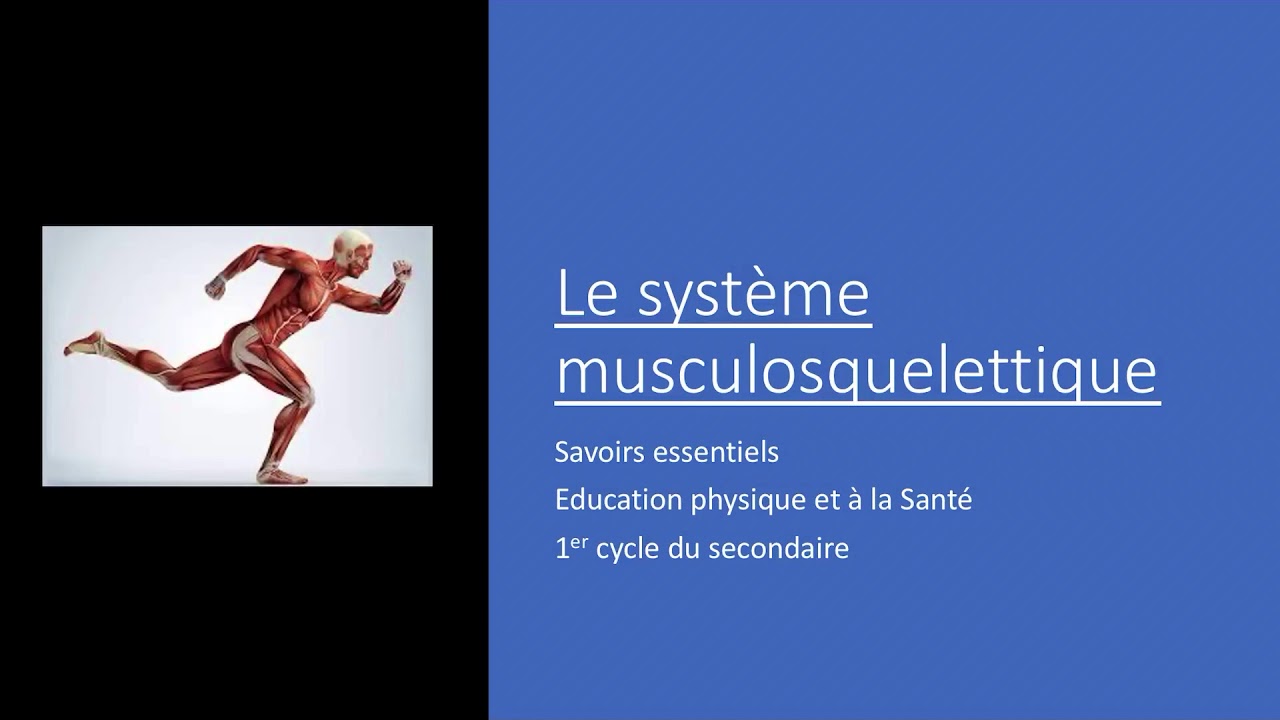Le système musculosquelettique