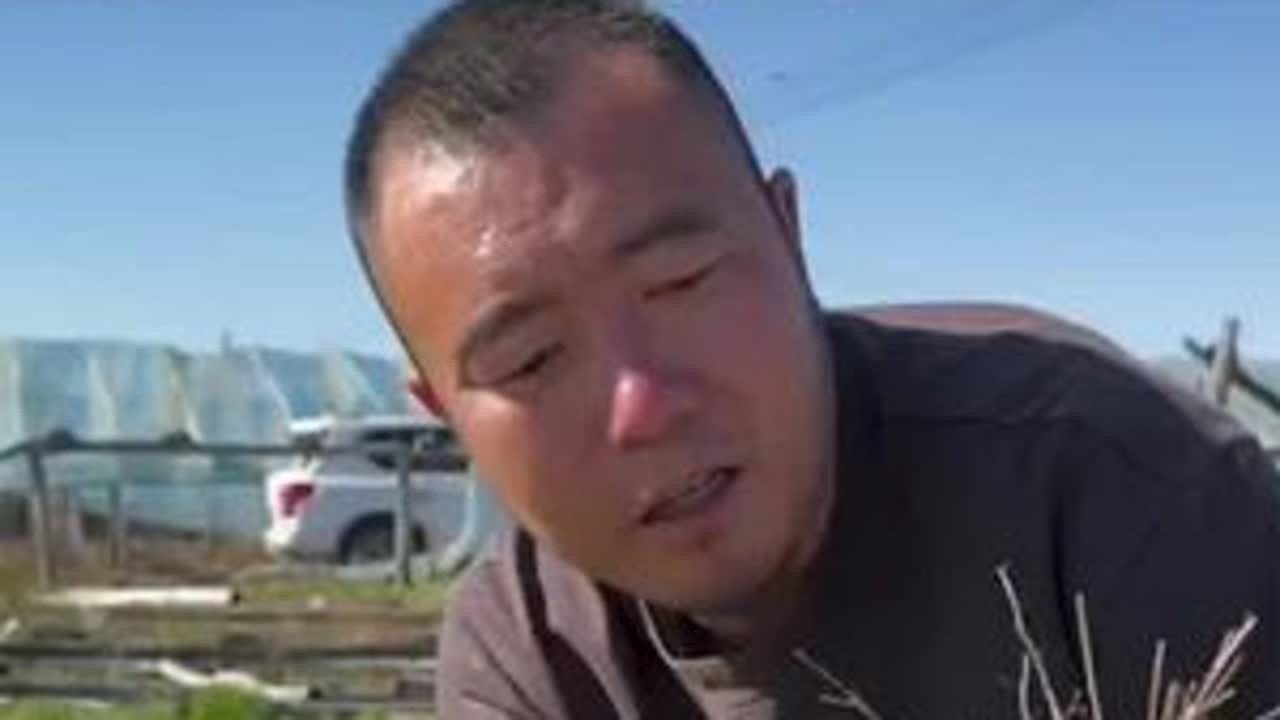 更新短视频