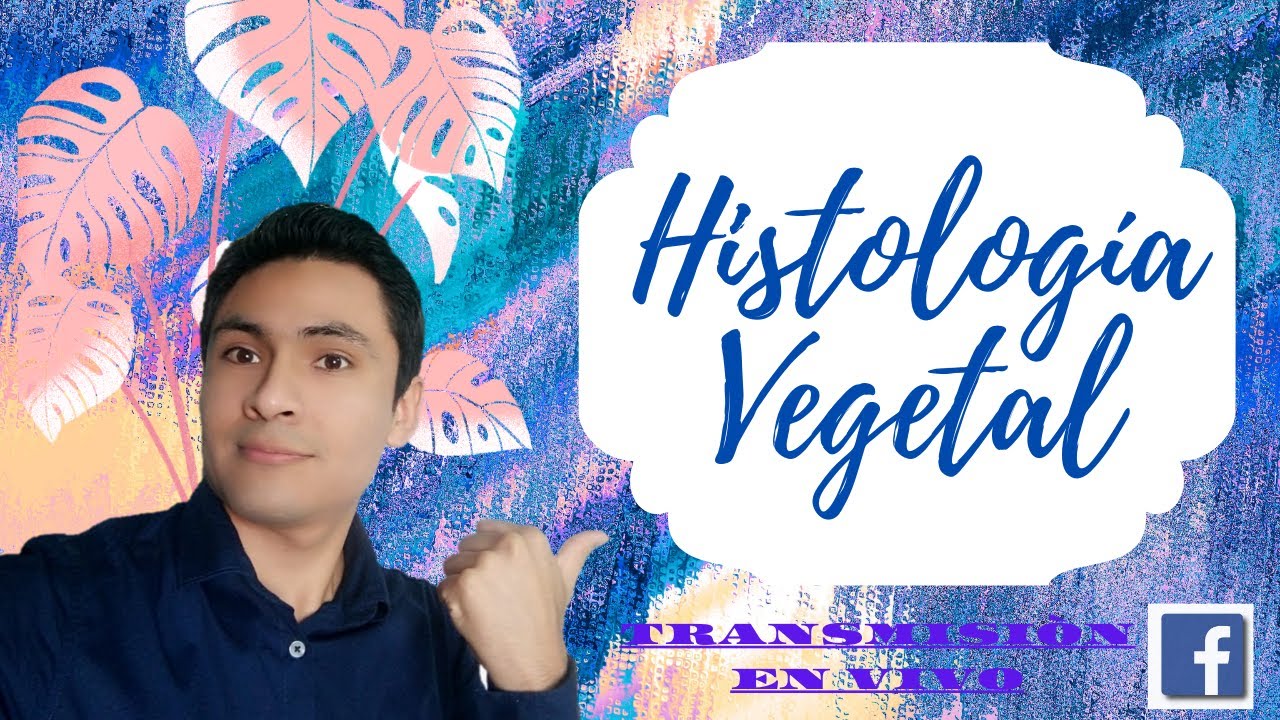 TEJIDOS VEGETALES (MERISTEMOS - PROTECTORES - PARÉNQUIMAS - XILEMA - FLOEMA - SOSTÉN - SECRETORES)