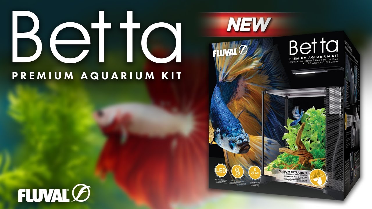 FLUVAL BETTA TANK SETUP | Unboxing & Installation