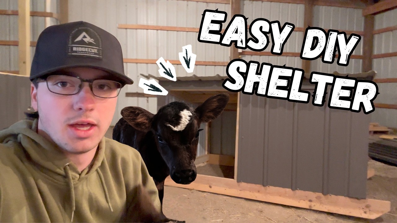 Best DIY small animal shelter