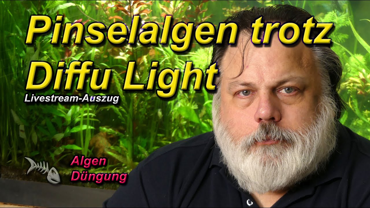 Pinselalgen nach Umstellung auf Diffu Light. Welche N&auml;hrstoffwerte sollte ich anstreben?