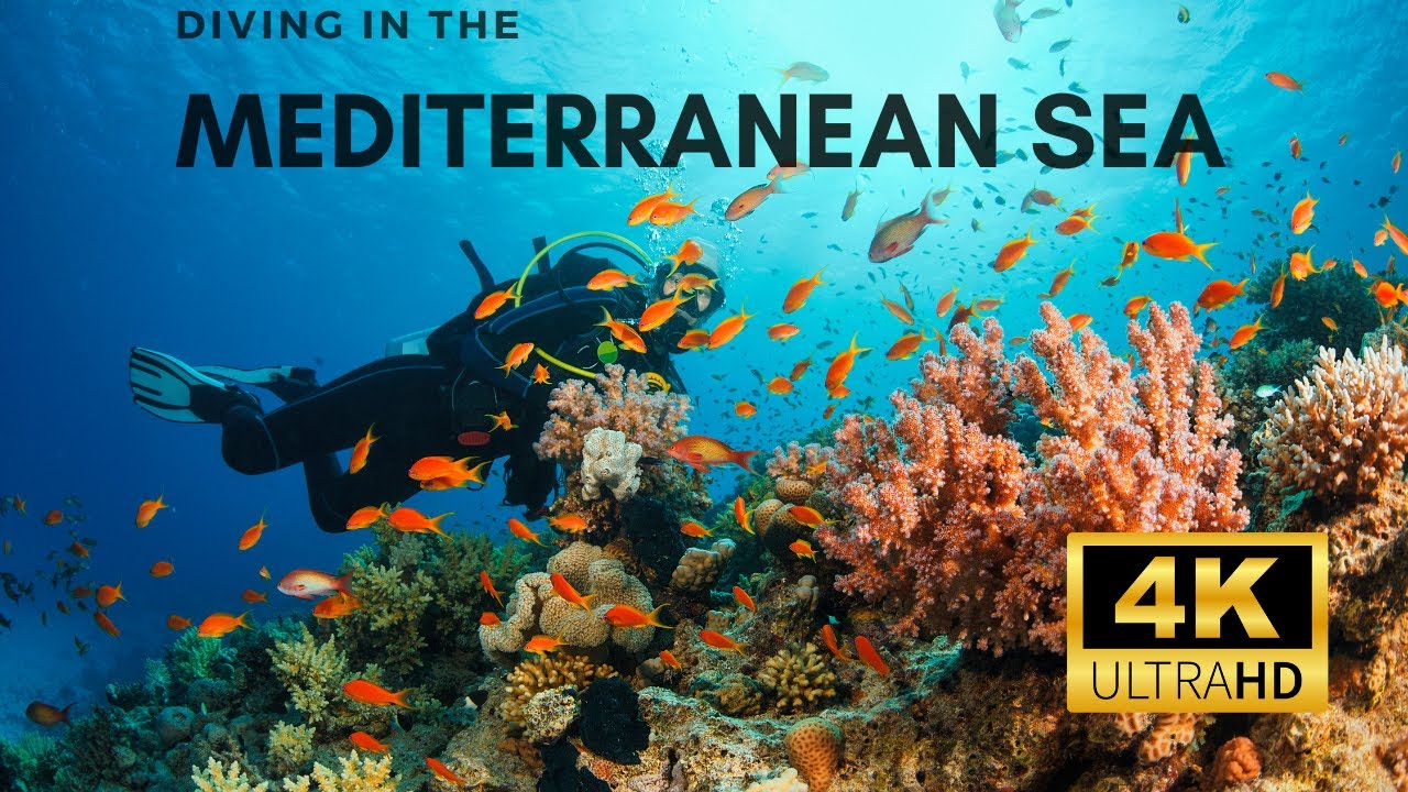 Relaxing Scuba Diving in The Mediterranean Sea 4K Ultra HD