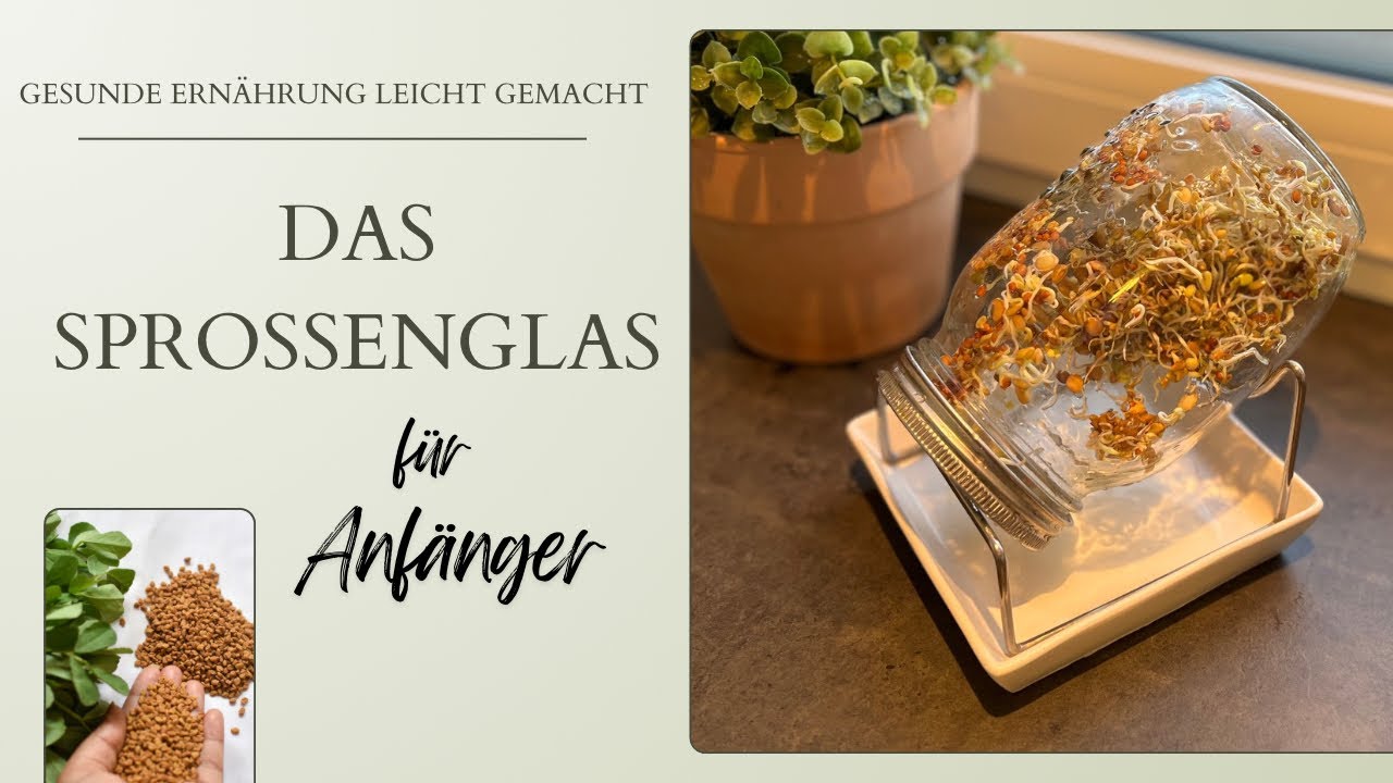 Sprossen selber ziehen im Sprossenglas von Green SEEDS (einfache Erkl&auml;rung f&uuml;r Anf&auml;nger)