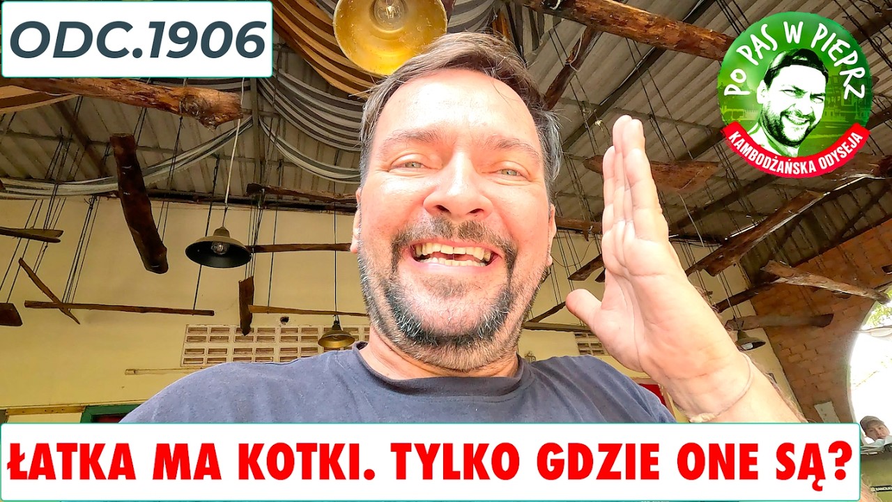 Łatka ma małe kotki. Tylko gdzie one są? Odc.1906