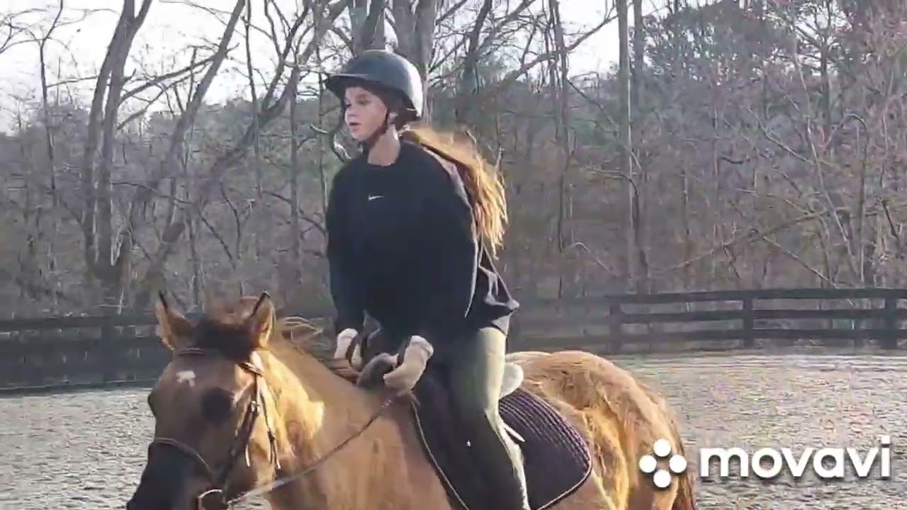 Конный клуб. Атланта.🐴🐎🐎