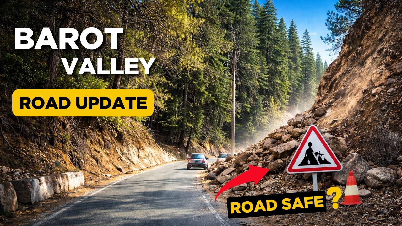 Barot Valley Road Condition Today 🚧 | Latest Road Update & Travel Guide 2026 #barotvalley