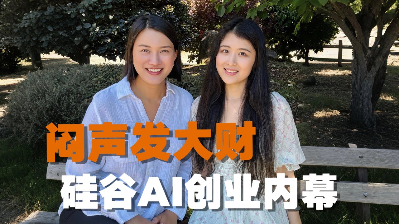 闷声发大财，硅谷AI创业赚钱内幕（下集）｜The Hidden Prosperity of Silicon Valley AI Startups