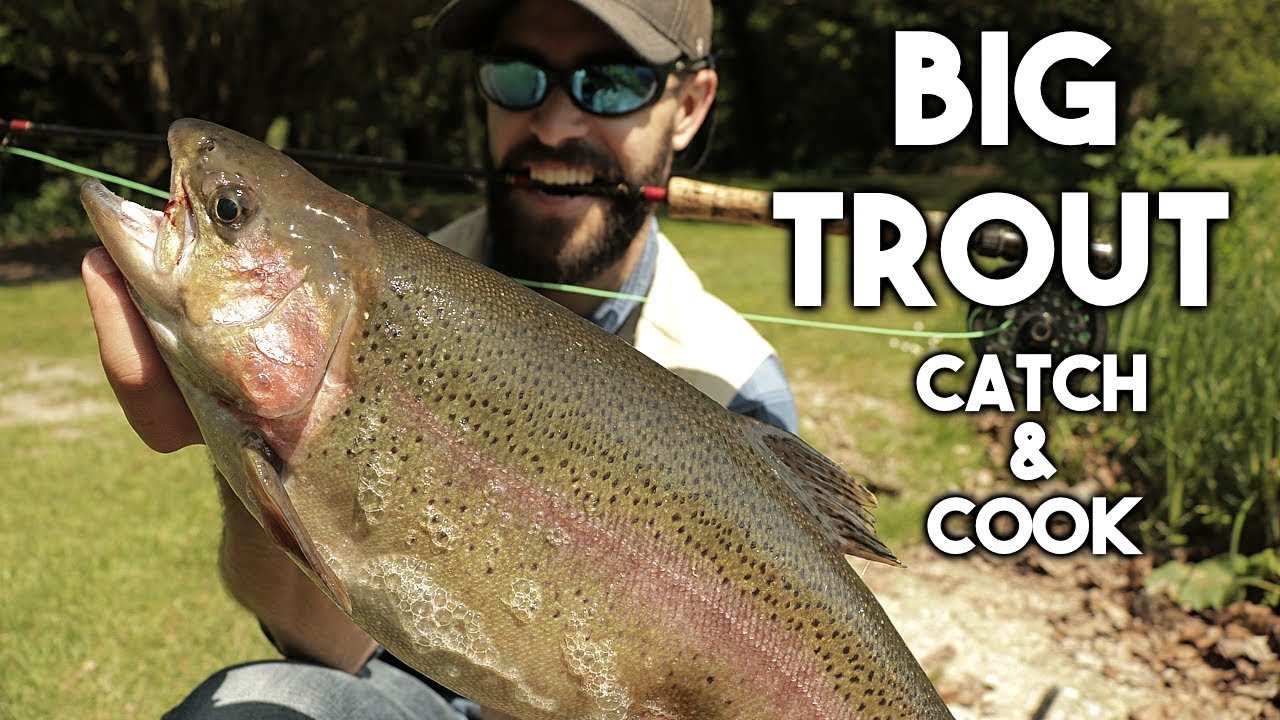 Catch and Cook BIG TROUT {GRAPHIC} GUT, CLEAN & FILLET | Cook on a STICK