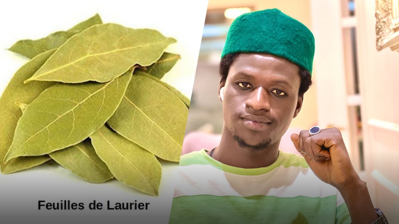 Les bienfaits de Laurier 🌿 Leep Lay Fathie
