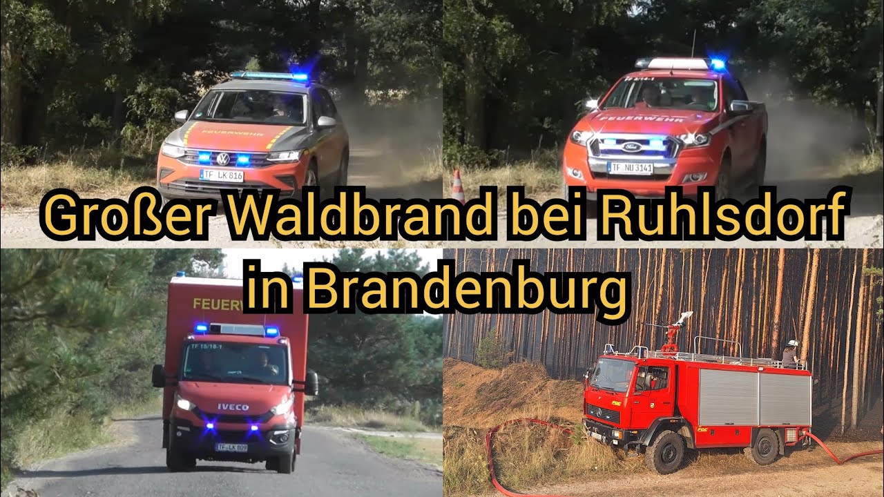 Rund 6 Hektar - Waldbrand bei Ruhlsdorf in Brandenburg - Großeinsatz der Feuerwehren mit O-Ton