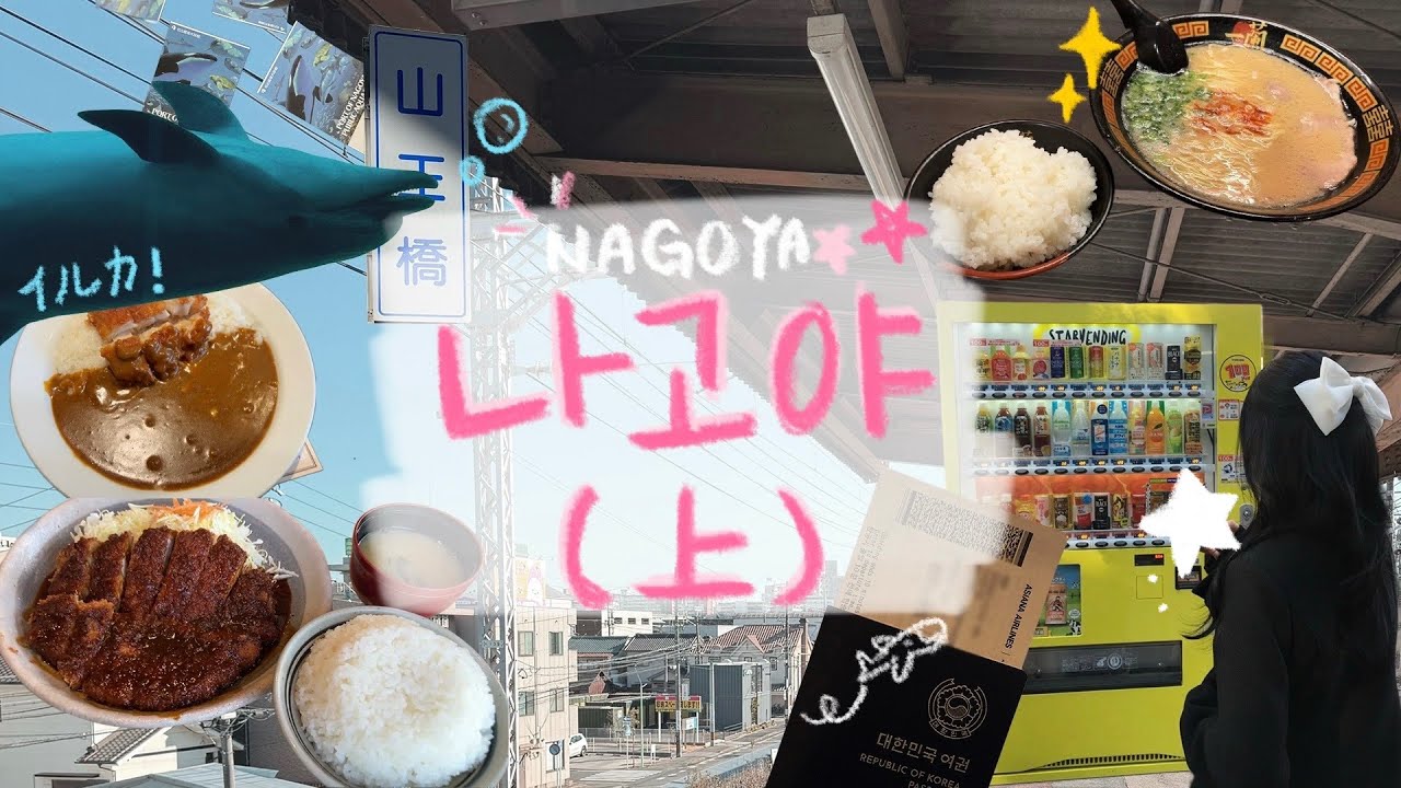 冬 나고야 7박 8일 [上] ⋆⁺₊⋆ ♡̷̷̷　　　　　　　　　| 공항 노숙 | 이치란 | 하브스 | 북오프 | 수족관 | 야바톤본점 미소카츠 | 코코이치 | 이자카야 | 오스상점가