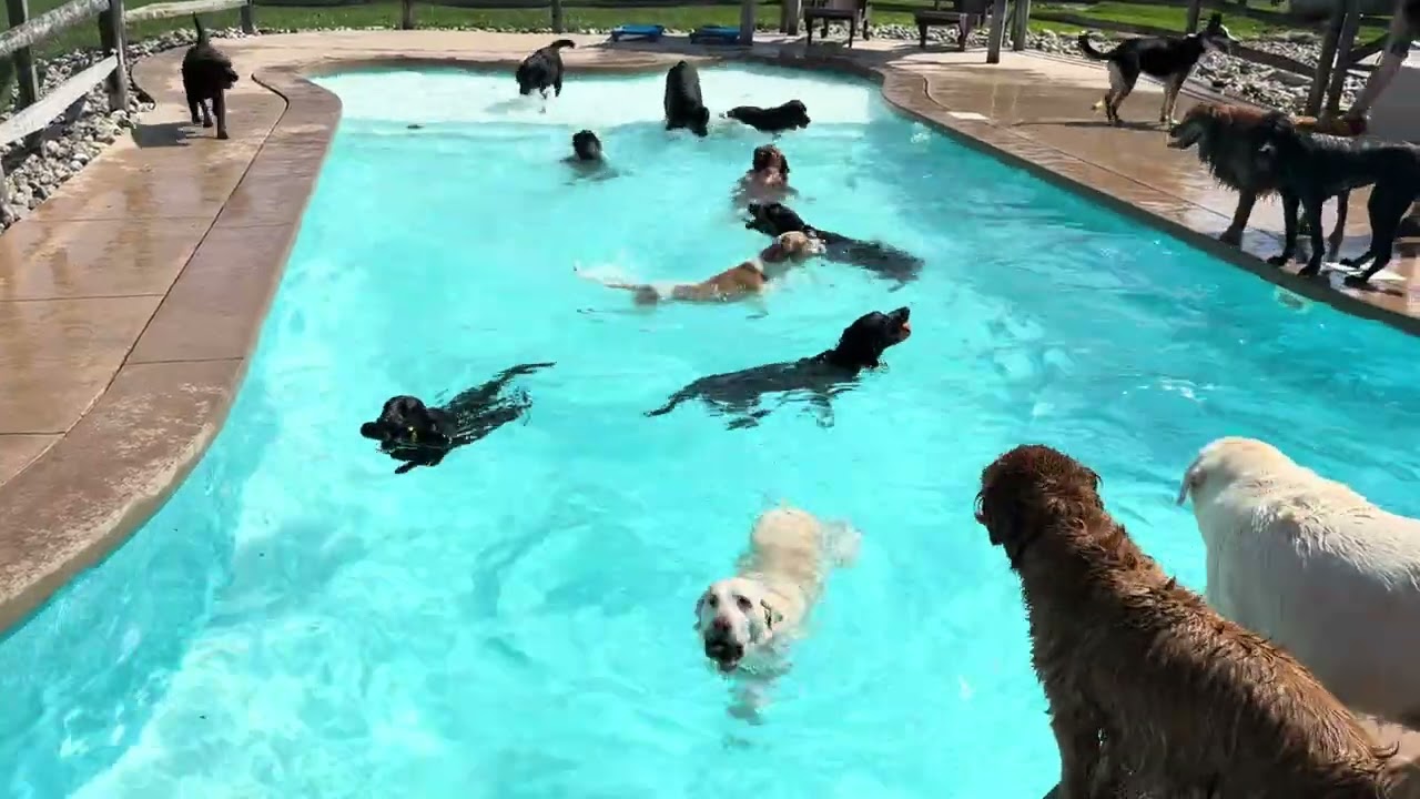 THIS IS HOW WE BEAT THE HEAT!  💦