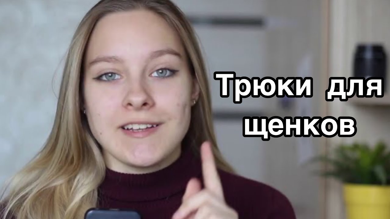 ТОП-5 ТРЮКОВ ДЛЯ ЩЕНКОВ ДО 6 МЕСЯЦЕВ