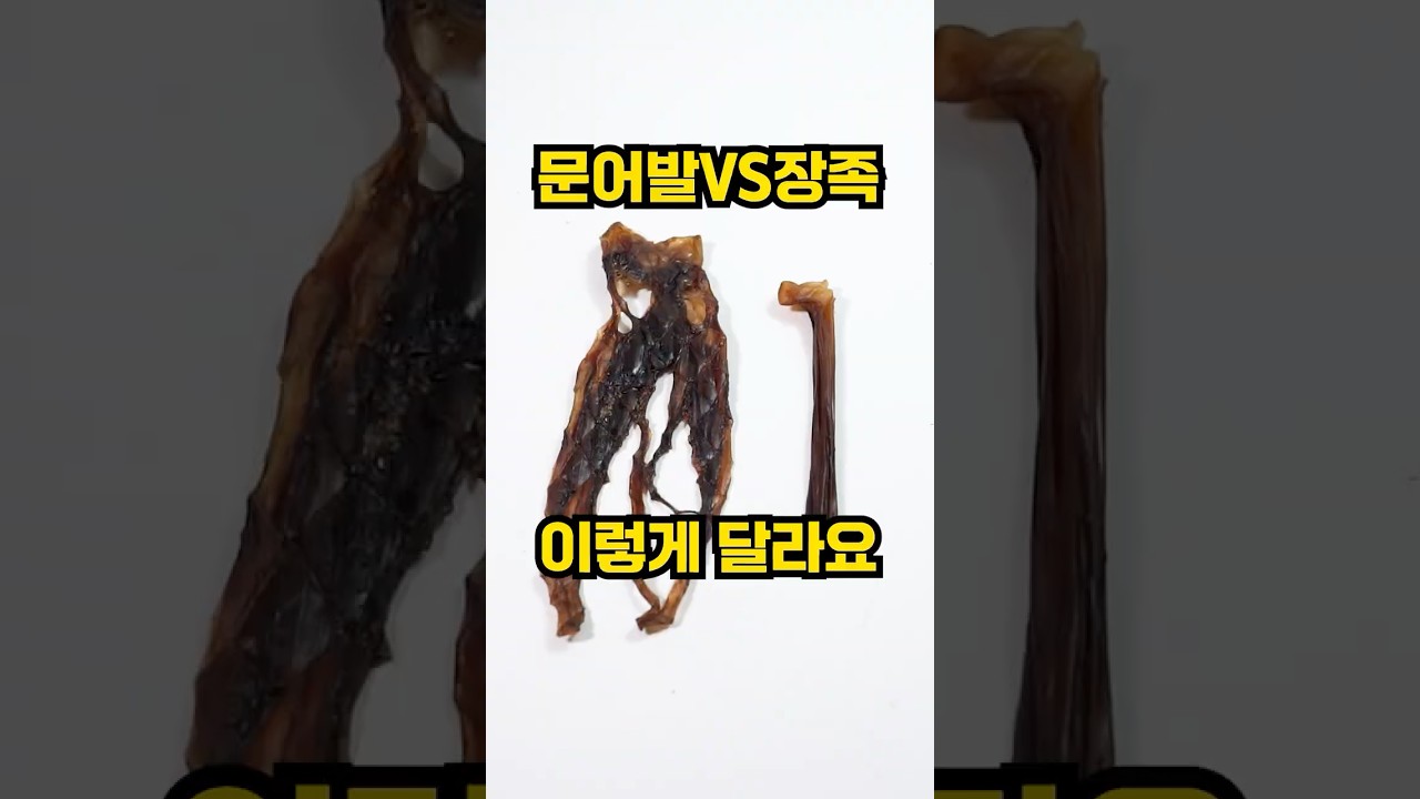 문어발 vs 장족 이렇게 달라요