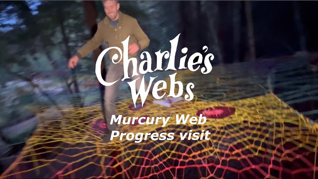 Night crawl in the murcury web #treenet #treeweb #spacenet #netloft #treehouse