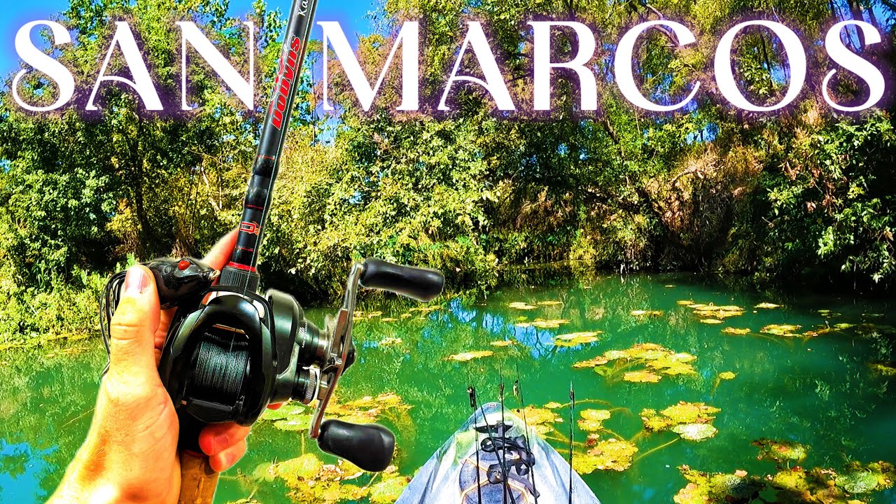 Searching For A BIG FROG 🐸 Bite On The San Marcos River