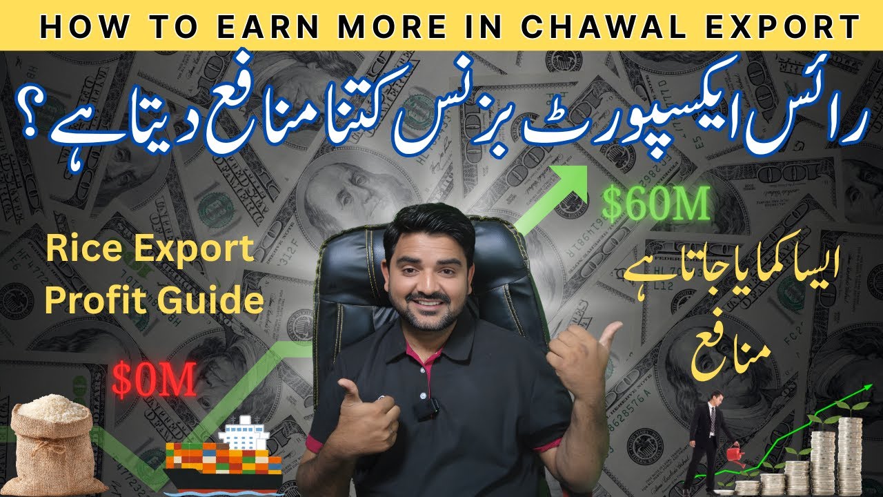 How to Increase Profit in Rice Export Business | Get More Profit in Chawal Export Business