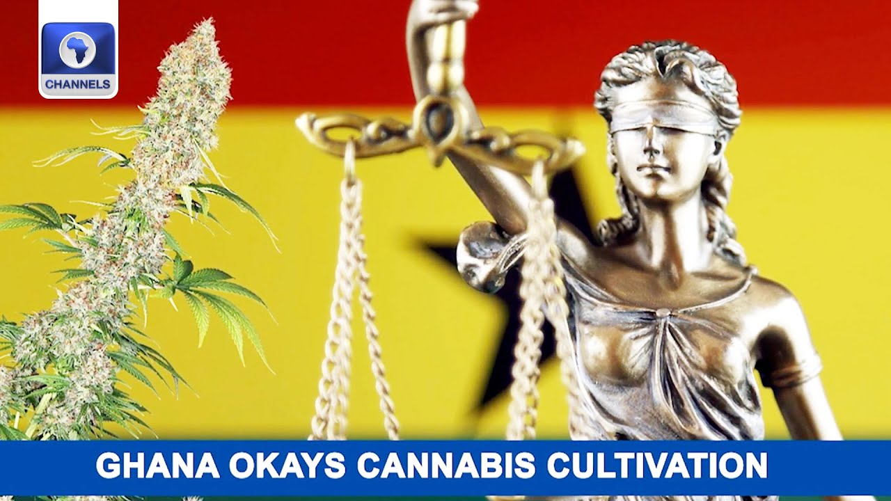 Ghana Legalizes Cultivation Of Cannabis + More | Business Incorporated