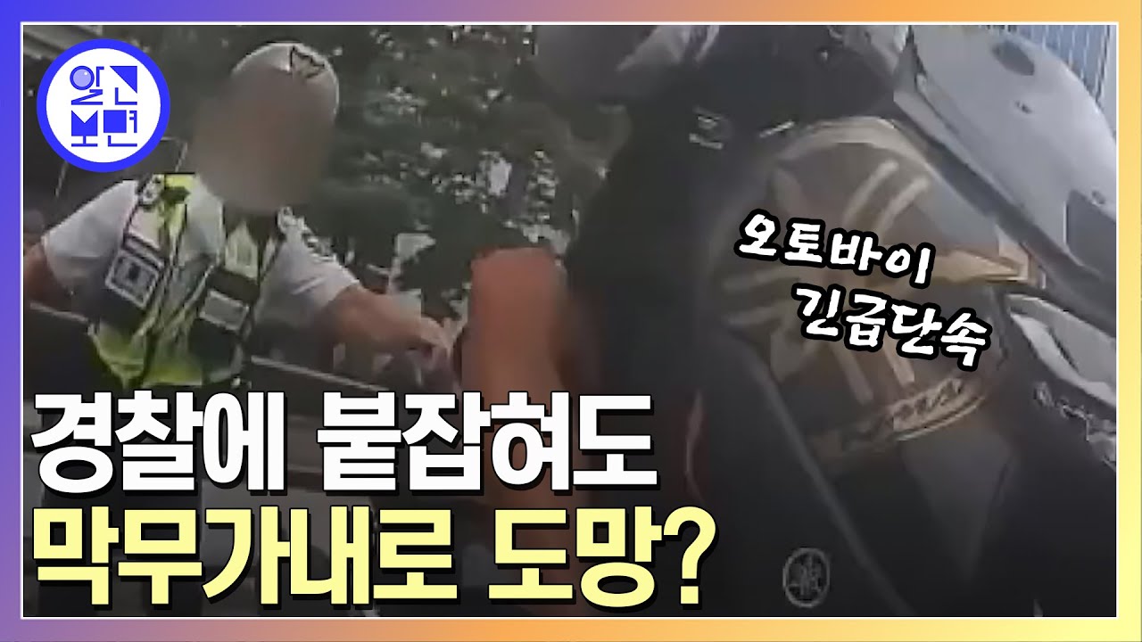 인도를 질주하고, 뺑소니까지 무시로... 단속 비웃는 오토바이 번호판 꼼수!