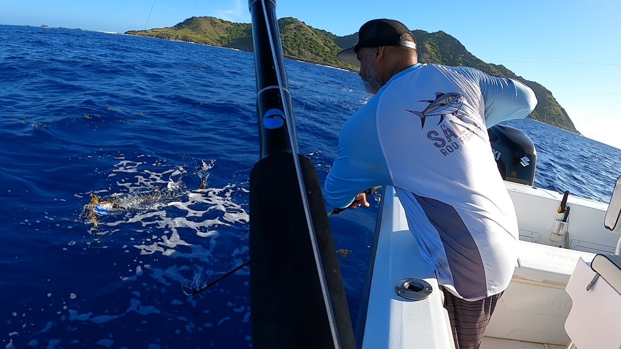Early Season Wahoo Fishing Puerto Rico